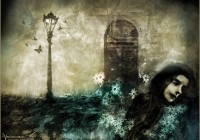 Turn your darkness into a garden