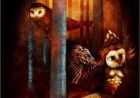 Bosco delle civette - Owls wood