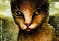 Gatto portrait - Ritratto di gatto