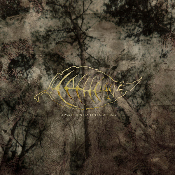 cethegus-cover