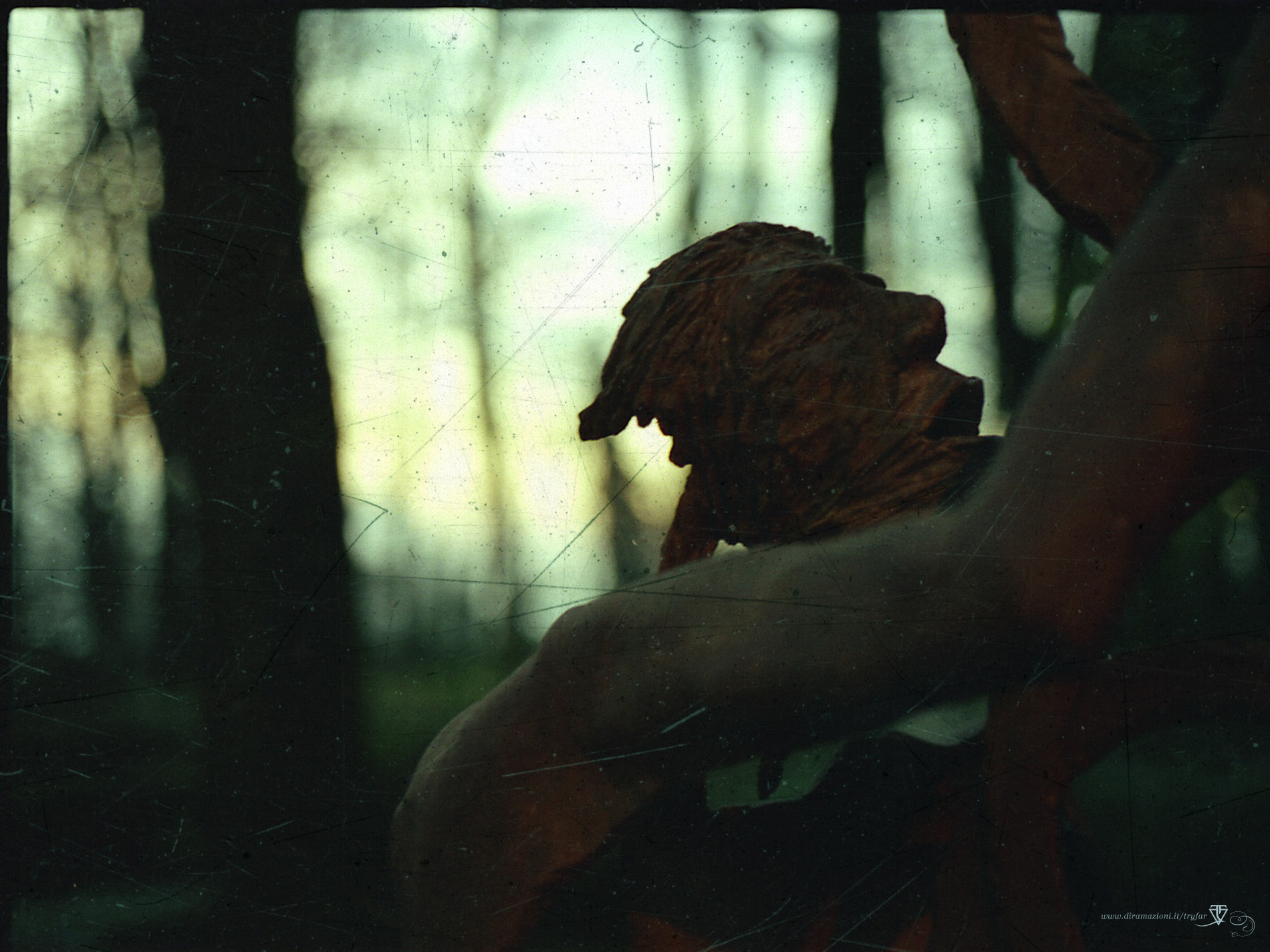 darkforest03