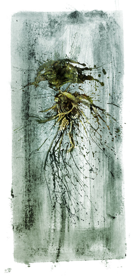 dorm-02-jellyfish-flat