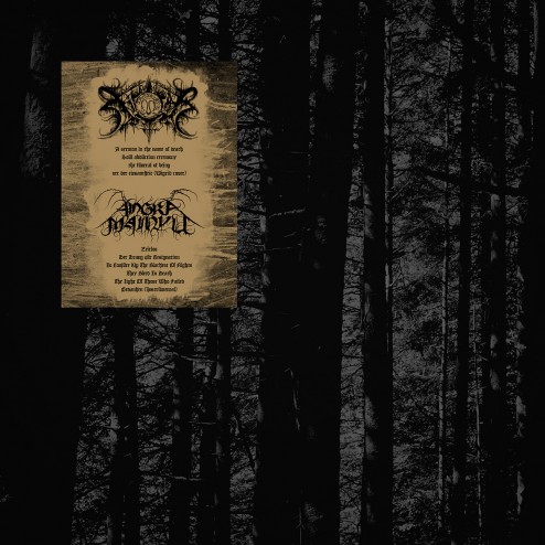 split-angra-front
