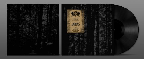 split-angra-mockup