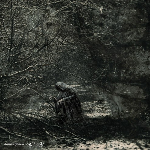 wood-of-hexen