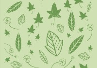 botanic pattern - leaves