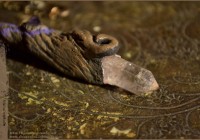 Crystal wand and Amethyst pendant 