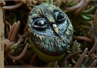 sculpt-Owl-perfume04-web