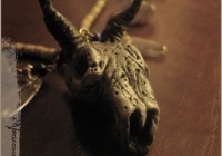 goat-skull-neck04