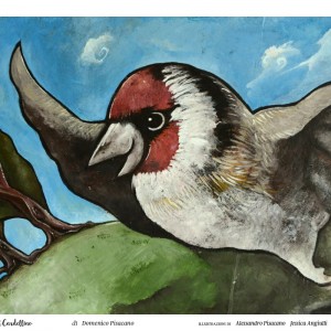 cardellino-250x200-preview03-6