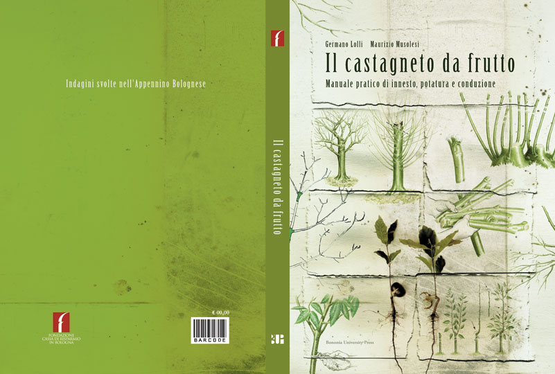 castagneto00