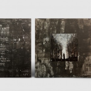 Limited Lp Mockup